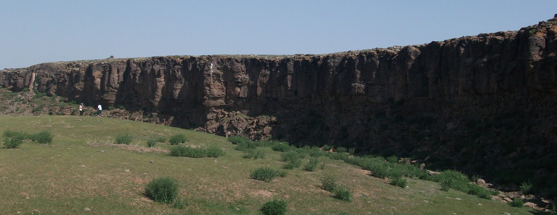 Бичигтийн шахаа